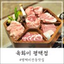 골드 아케이트 | 평택 비전동 맛집 룸있는 고기집 육화미 단체회식 술집 주차