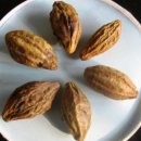 본초한의원 이미지