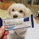 덴탈웍스 | [강아지덴탈껌] 직접구매한 메디웍스 아나브러쉬 구입후기