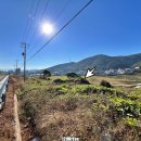 원균길 | [여행] 통영 엉규이무덤(傳원균 묘)