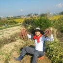 오주농장 이미지