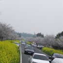 가시리별짱 이미지