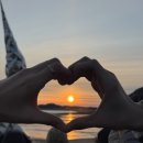 제일건재도매한약 | 무려 2026