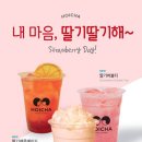 호이차 이미지