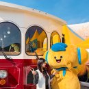 가을여행 | 전남 고흥 가볼만한곳 2025 고흥유자축제 가을 여행 후기