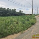 해남교차로  마산교차로 이미지