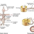 열린치유한의원 이미지