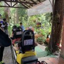 이상진농장 | 하나투어 투어챌린저 하이 스쿨 4기 활동 후기(2)