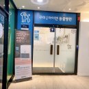 구미 산동 아이엔 동물병원 | 고양이 전문병원:구미 아이엔 동물 병원(feat. 중성화 수술)