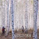 두메산골 네이버블로그