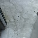 답다니언덕집 | 2024 여름제주 - 2 (2) 제주감성독채 답다니언덕집