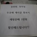 호수J속눈썹