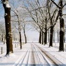 종합운동장 기타 이미지