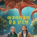 아쿠아리움이 문을 닫으면, 충격적인 마지막 진실?! (ft. 문어 정체)