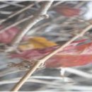 한스민박 이미지