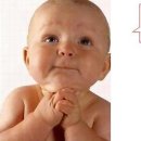 복사쟁이 Daum카페
