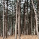 백둔리 주차장 이미지