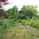 풀천지농장 이미지