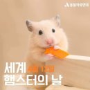 소사삼도