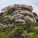 합천한의학박물관 이미지