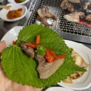 케이투주먹고기식당