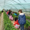 서해3농장 이미지