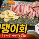 [국도29] 청양군 학당리 | 인천 밴댕이 맛집 금산, 제철 밴댕이회와 밴댕이무침 먹방 후기