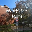 서빙고동 작은도서관 | [서울 용산] 용산공원 미군 장교숙소 5단지 (주차, 단풍, 카페, 11월 3일 방문 후기)
