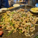 와우리장작구이 백운호수점 | [백운호수 맛집] 와우리장작구이 백운호수점 후기 🐶🍖 가족모임 + 강아지 동반까지 완벽!