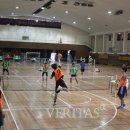 동아대체육관 이미지