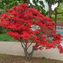 소망메디(주) 이미지