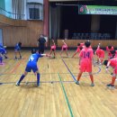 2016 전라북도교육감배 학교스포츠클럽 플로어볼대회 (추가1) 이미지