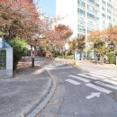 신선마을 이미지