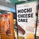 리얼브레드(Real Bread) | 인스타에서 핫한 모찌케이크 빵집! WHAT A BREAD 왓어 브레드 서현 AK플라자 팝업 내돈내산 솔직 후기