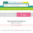 배철수 플라워