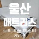 지누디자인 이미지