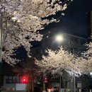 피콜로빠체 | 167. 유부걸즈와 함께 탐퀘 데이트