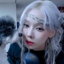 강아지 꼬순내 이미지