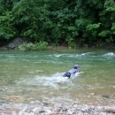 무실스포츠 이미지