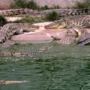 아란 농장 이미지