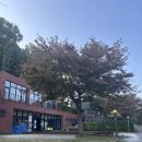 [캠핑] 강화도 마리원관광농원캠핑장 / 하늘 2번 솔직후기 / 숲, 중앙 사이트 명당추천 / 스노우라인...