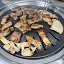 갈매기나라 - 강서구 곰달래로 140 | 갈매기나라