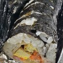 애플김밥(논현점) 이미지