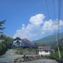 알프스관광펜션 이미지