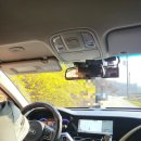 J238 | 환갑, 칠순 대규모 가족 행사가 가능한 용인 에버랜드 근처 J238 펜션 후기