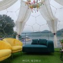 쁘띠독펜션 | 쁘띠독 애견펜션 강과 잔디정원 함께 즐긴 후기