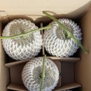 효정농장 이미지