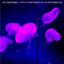 과거,현재,미래 | 🚢 부산 국립해양박물관 - 바다의 과거·현재·미래를 만나는 국내 최대 해양문화 공간