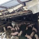 행복구대 이미지