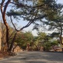 제천 es 리조트 롯지 객실, 파파스 브로트, 별이 잘 보이는 숙소 추천
